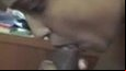 Cute young girl suck and fuck